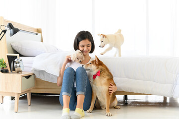 Young Asian woman playing with three dogs (brown shiba inu, white shiba puppy and white maltese)in bedroom. Cheerful and nice couple with people and pet. Pet Lover concept.