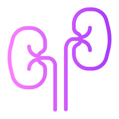 Obraz premium kidneys gradient icon