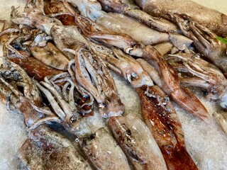 Aerial view of fresh squid.