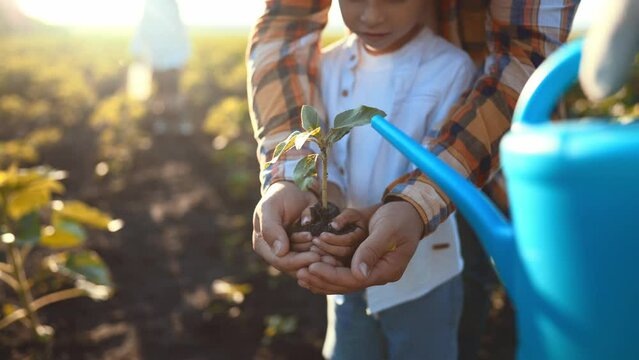 Close up palm child holding young plant tree with green leaves. His parents standing in background. Happy family farmers in vegetable garden. Leisure activity in walk. Ecology, care on nature.