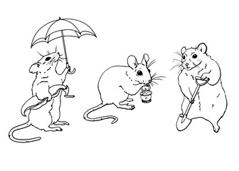 Fototapeta premium Mice vector illustration set. Graphic line drawing. For printing coloring books, on children's products, on clothes, dishes, posters and other printing. Freehand drawing. Image of animals. Vector