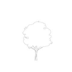 tree line drawing, Side view, graphics trees elements single object outline minimal plant symbol for architecture and landscape design. Vector illustration in stroke fill in white. forest, tropical.