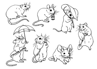 Obraz premium Mice vector illustration set. Graphic line drawing. For printing coloring books, on children's products, on clothes, dishes, posters and other printing. Freehand drawing. Image of animals. Vector