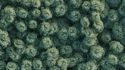 trees in the forest, top view, area view, isolated on white background, 3D illustration, cg render