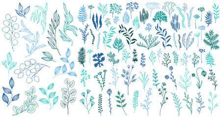 Meadow flowers, tree branches, algae water plants, corals isolated on white. Seaweeds polyps silhouettes set. Branches berries twigs flowers. Seaweeds coral reef underwater plans vector teal set.