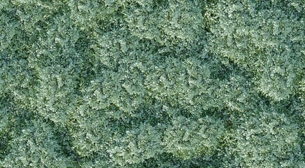 Fototapeta premium trees in the forest, top view, area view, isolated on white background, 3D illustration, cg render