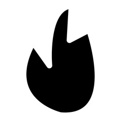 Fototapeta premium fire