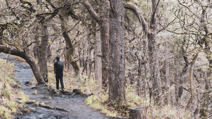 Obraz premium Forest Walk Peak District