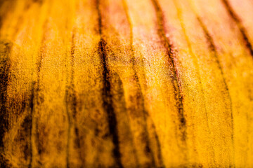 macro food: ripe garlic bulb close-up, vibrant warm color, horizontal format, background