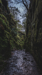 Lud's Church, Peak District