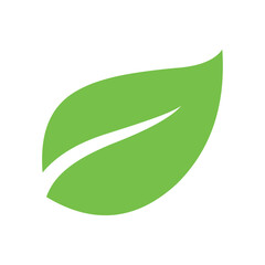 green leaf icon vector design