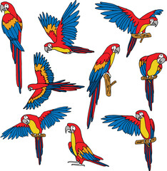 set pack of colored parrot bird collection vector illustration isolated in white background  © Dwiatmoko