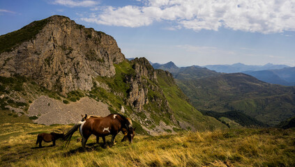 Fototapeta premium Landscape in Pyrenees close to Col du Galibier, France