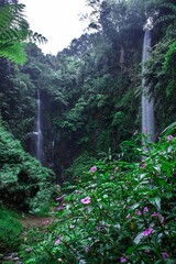Two waterfall in forest, Badak Batu Hanoman Waterfall, Tasikmalaya, West Java, Indonesia