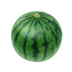 スイカのイラスト　リアル