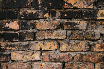 brick wall texture