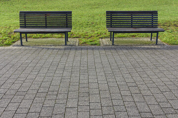 Samotne ławki przy alejce parkowej  - obrazy, fototapety, plakaty