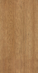 teak texture