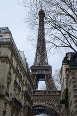 The Eiffel tower and buildings - 600518984