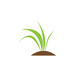 Green grass. Spring. Gazon. Vector icon. web version.