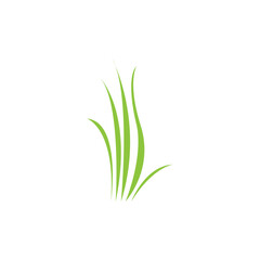 Green grass. Spring. Gazon. Vector icon. web version.