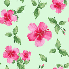 Seamless watercolor pattern with exotic tropical flowers, hibiscus. Botanical illustration isolated on green background. Can be used for fabric prints, gift wrapping paper, kitchen textile.