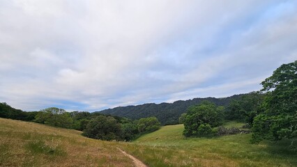 landscape in the mountains