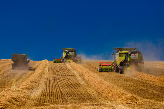 Claas Images Browse 836 Stock Photos Vectors and Video Adobe Stock