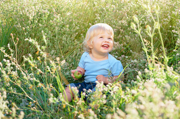 Happy childhood. Little boy with apple plays on a green meadow.
