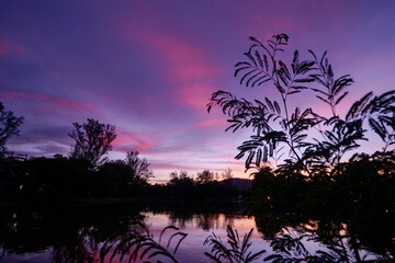 Beautiful sunset on the pond.