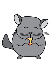 Cute chubby chinchilla eating dried apple vector illustration