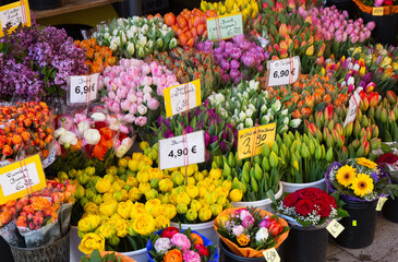 Fototapeta premium sale of blooming tulips at the street market