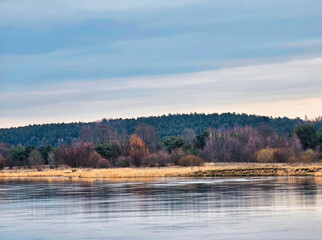 Obraz premium narew river in podlaskie voivodeship, forest in the background