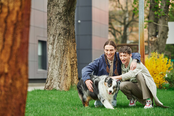 happy gay couple hugging and sitting on green grass while cuddling Australian shepherd dog and smiling near tree and modern building on blurred background on street
