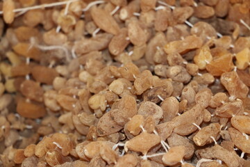 close up of dried fruit