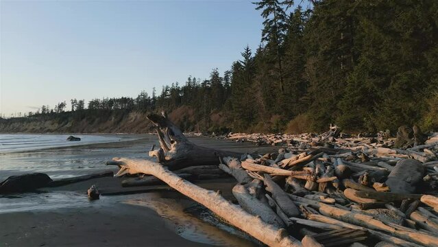 Sandy Beach on West Coast of Pacific Ocean at Sunset. Near Tofino and Ucluelet, Vancouver Island, BC, Canada. Canadian Nature Background. Cinematic
