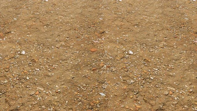 An aerial view over a platoon of military armored tanks advancing - seamless looping.