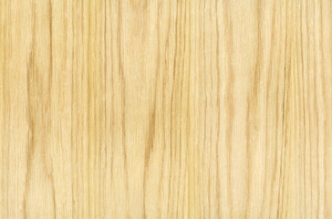 oak wood texture