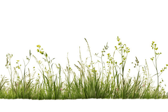 Meadow Grass Row on transparent Background. AI