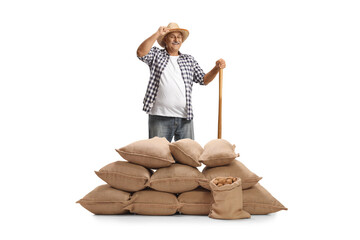 Smiling farmer with a wooden tool standing behind burlap sacks with potatoes