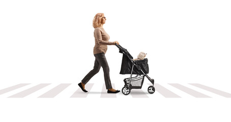Profile shot of a mature woman crossing a street with a dog stroller