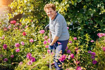 Positive tired elderly woman arround the flowers digging the ground with a shovel in the garden at summer farm countryside outdoors using garden tools shovel.