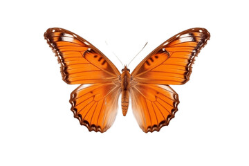 Obraz na płótnie Canvas Butterfly Isolated on Transparent Background. AI