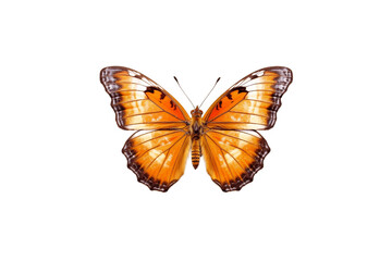 Obraz na płótnie Canvas Butterfly Isolated on Transparent Background. AI