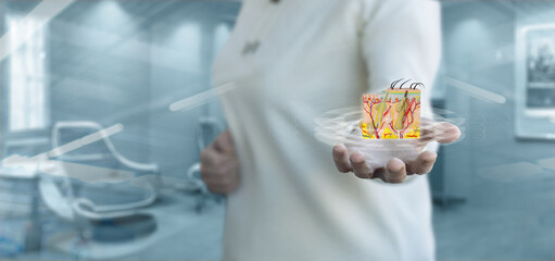 Shows a human skin model in the hand.