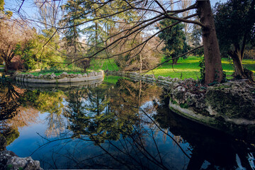 Reflejos del río en un parque