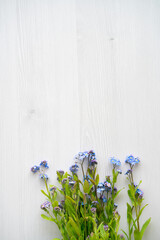 forget me not flowers on a white wood table