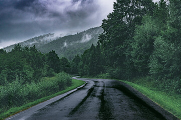 Misty Road: Asphalt Path in the Bieszczady Mountains after Rain, with Eerie Forest in the Background