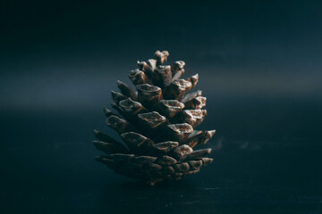 Christmas tree cone decoration for crafts