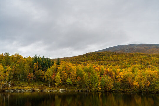 Colors of Autumn on display at the beautiful lake Lesbervatnet,
